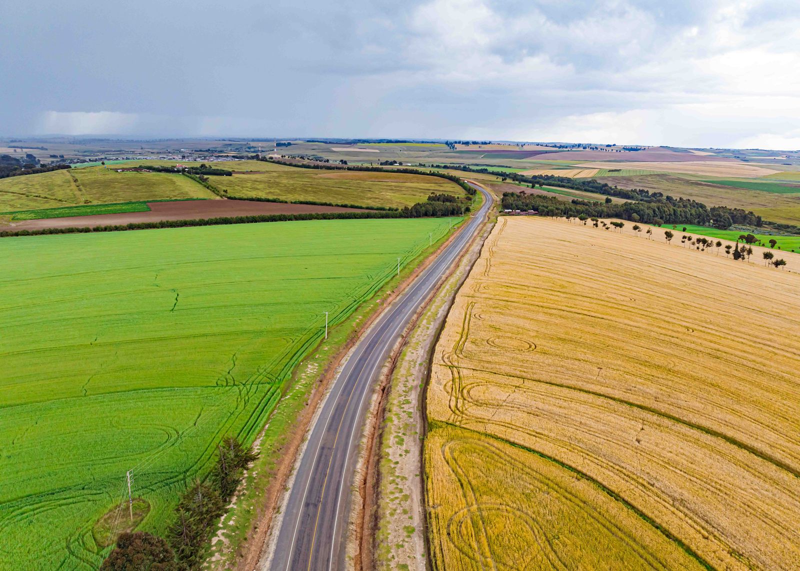 Aerial view of cultivated farmland in Kenya